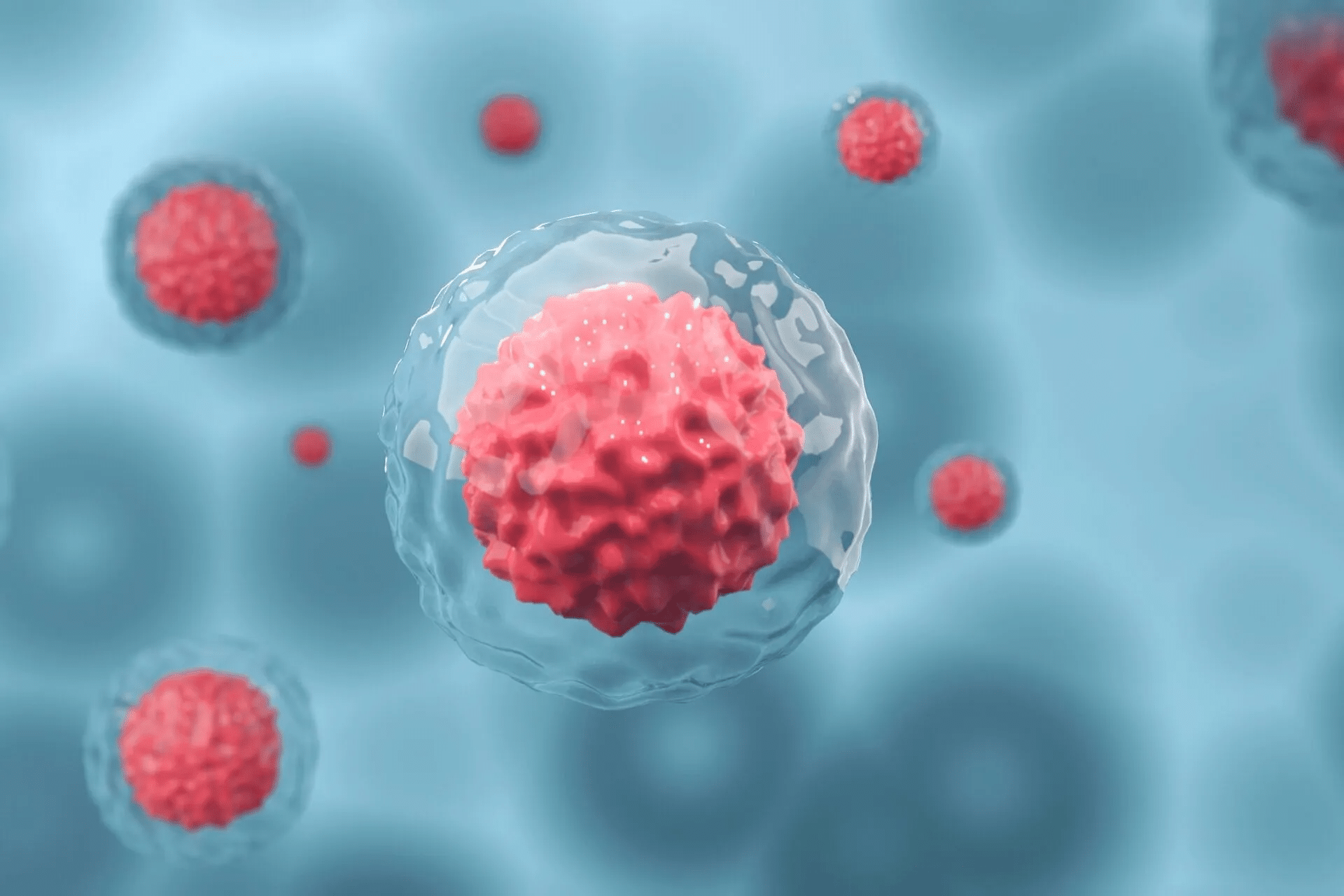 stem cell treatment